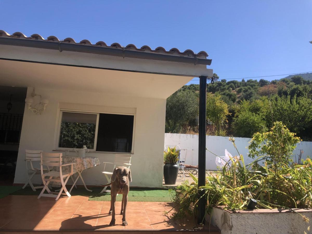 Villa Rosario El Bosque Exteriör bild